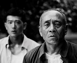 陶泽如