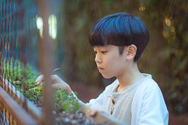 杨曾曦