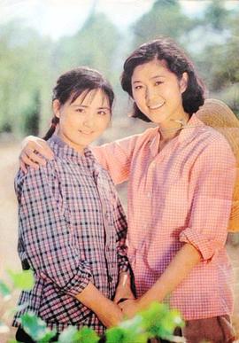 倪萍