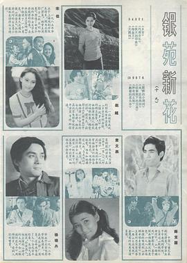 杨晓丹