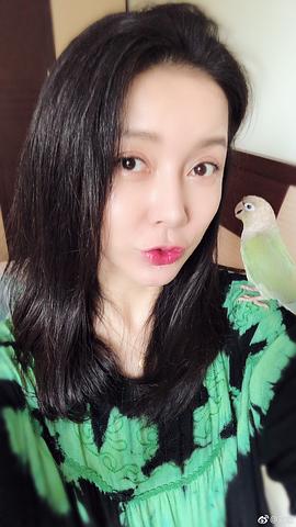 刘敏