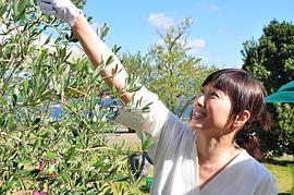 高岛礼子