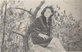何莉莉