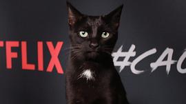 Salem