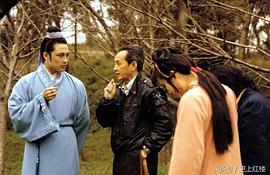 王扶林