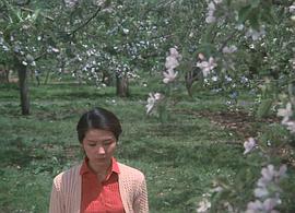 酒井和歌子