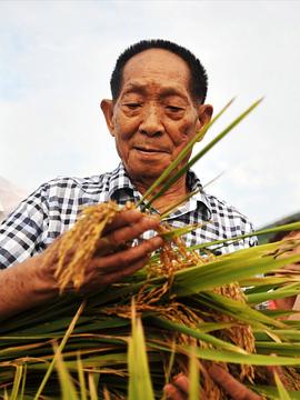 袁隆平