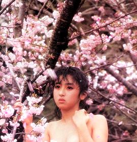 秋乃樱子