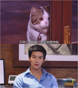 普提查·克瑟辛