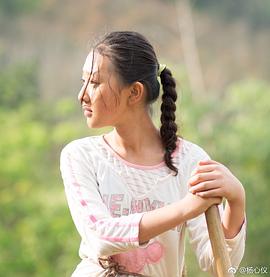 杨心仪