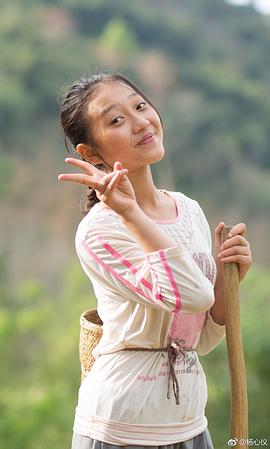 杨心仪
