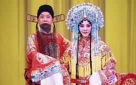 迟小秋
