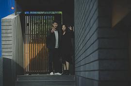 朴素丹