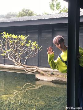 夏恩