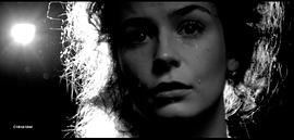 Daphne Wellens