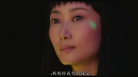 赵涛