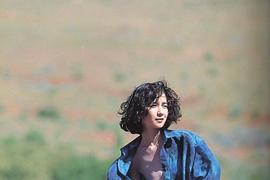 桂木文