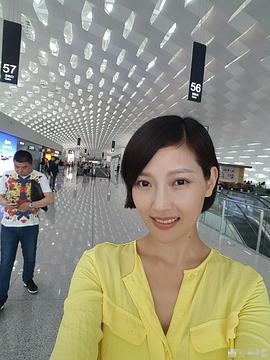 何芷珊