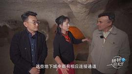 周轶君