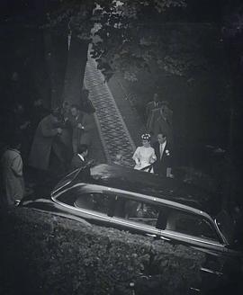 梅尔·费勒