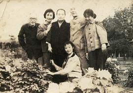 陈正薇