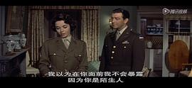 罗伯特·泰勒