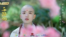 段智文