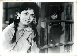鳄渊晴子