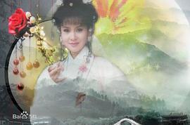 林美照