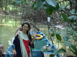 李莉莉
