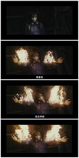 祖蒂·弗兰