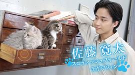 佐藤宽太