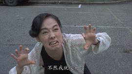 毛舜筠