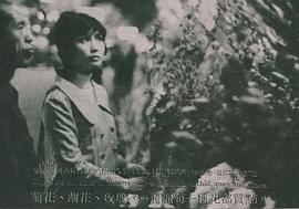 李丽丽