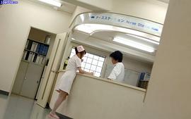 宝月光