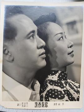 小燕飞