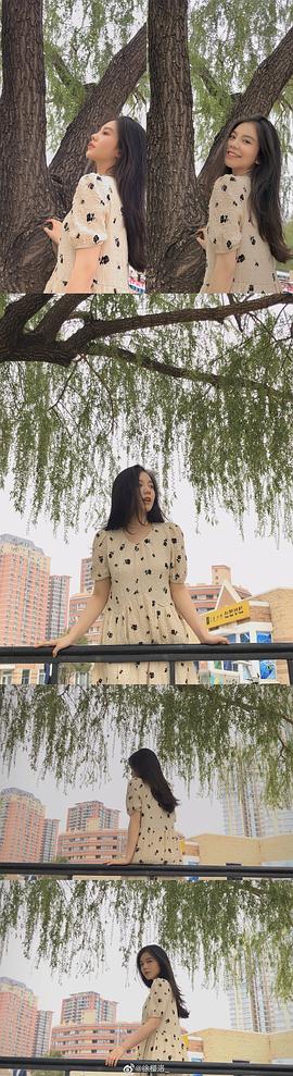 徐樱洛