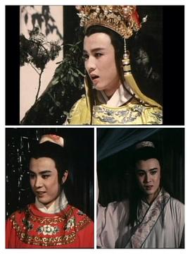 徐少华