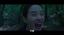 宋智孝