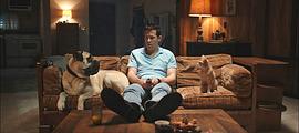 哈米许