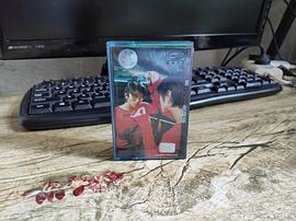 谢霆锋