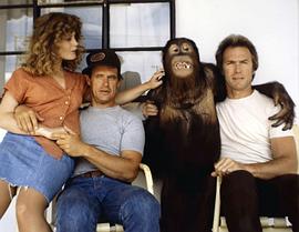 Manis the Orangutan