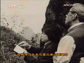 林文肖