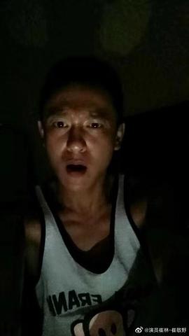 崔林
