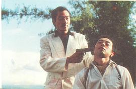 张平