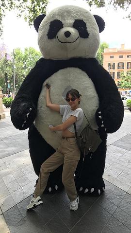 薇拉·贺兰德
