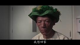 曾楚霖