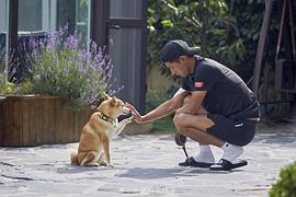 张继科