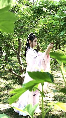 贾念莹