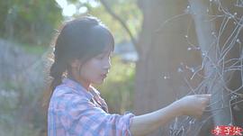 李子柒